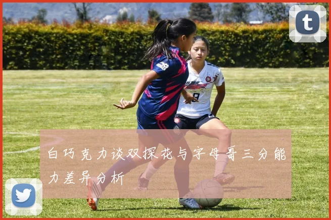 白巧克力谈双探花与字母哥三分能力差异分析